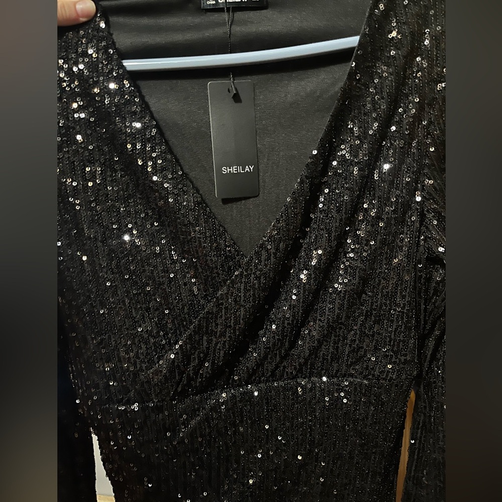 Small Sequin Longsleeve Bodycon Dress